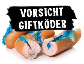 Antigiftködertraining
